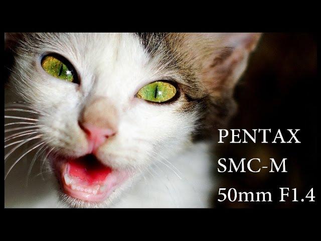 Pentax-M SMC 50mm F1.4 Classic Vintage Lens Review on Micro Four Thirds