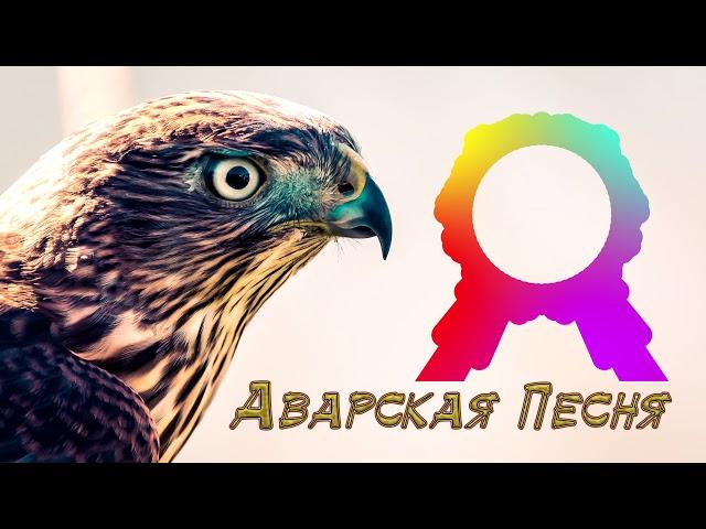 Аварская Песня 2019 (Лезгинка 2019)