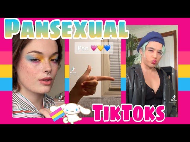 PANSEXUAL TikToks