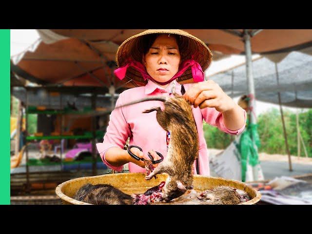 Asia’s SHOCKING Live Animal Market!!! Extreme Food Tour in the Mekong Delta!