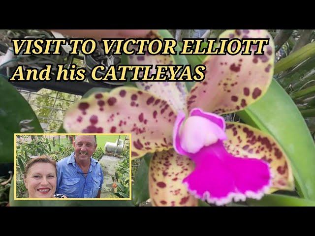 VISIT TO FABULOUS CATTLEYA GROWER- VICTOR ELLIOTT.   September 7, 2024