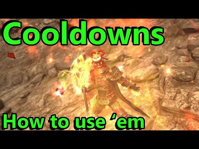 FFXIV: Using Tank Cooldowns