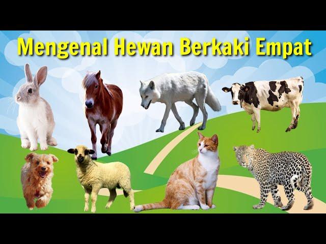 Belajar Mengenal Nama dan Suara Hewan Berkaki Empat