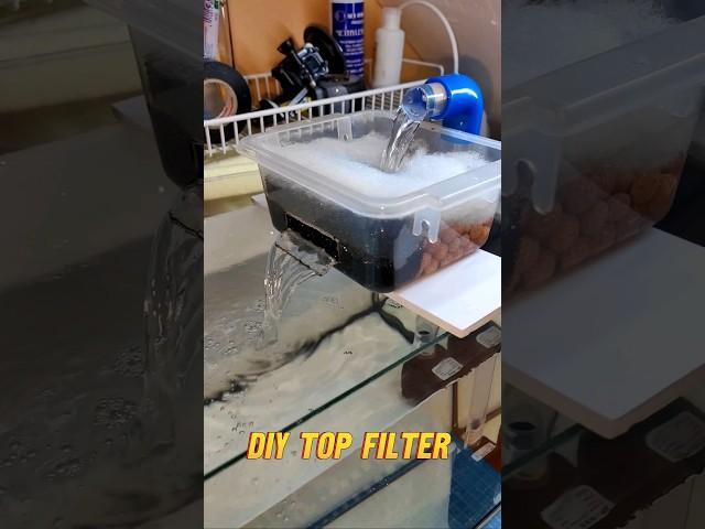 DIY Top Filter With Spillway #diy #fish #aquarium #aquariumfilter #shorts #aquariumfishtank