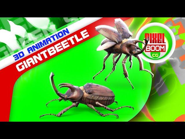 Green Screen GiantBeetle 3D Animation PixelBoomCG