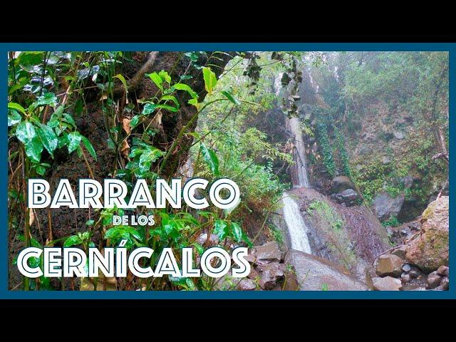 Hiking through Los Cernícalos ravine (Telde and Valsequillo), Gran Canaria