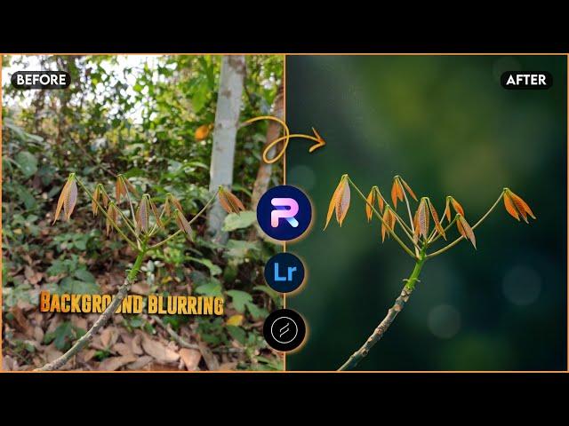 How to Blur Image Background and Lightroom Color Grading | PhotoRoom Editing | Lens Distortions Edit