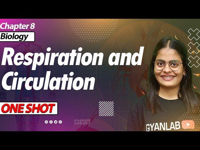 One Shot Lecture | Chp - 8 | Respiration and Circulation | Gyanlab | Anjali Patel #oneshotlecture