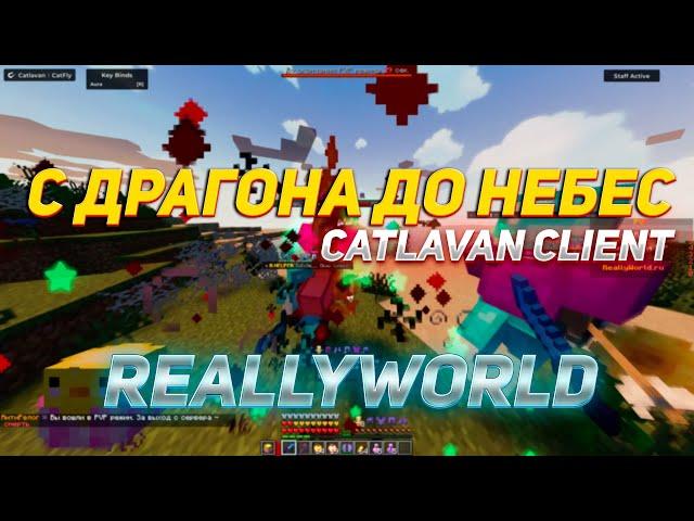 с ДРАГОНА до НЕБЕС НА REALLYWORLD №15 | РАЗВИТИЕ ПОСЛЕ ВАЙПА с ЛУЧШИМ ЧИТОМ CATLAVAN CLIENT REWORK