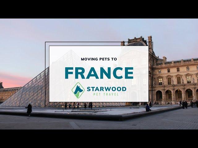 Moving Pets to France | Starwood Pet Travel