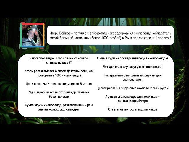 Игорь Войнов ответы на вопросы. Сколопендры, популяризация домашнего содержания 15.06.2024