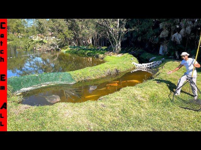 I BUILT a RIVER in My BACKYARD for my MONSTER PET FISH!