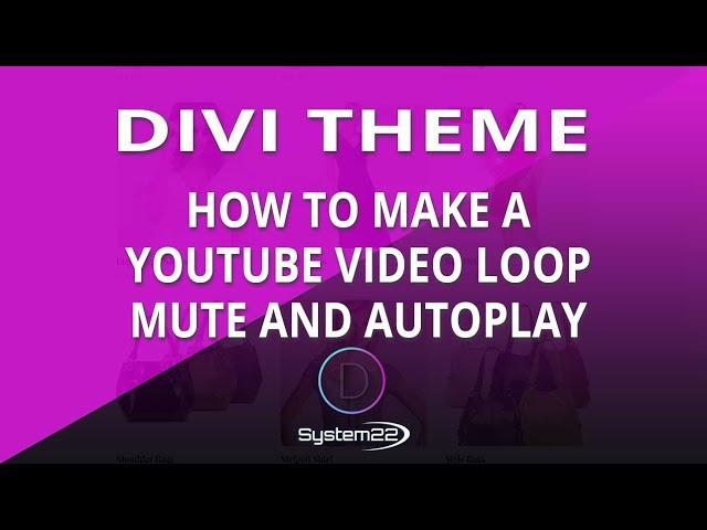 Divi Theme How To Make A YouTube Video Loop Mute And Autoplay 