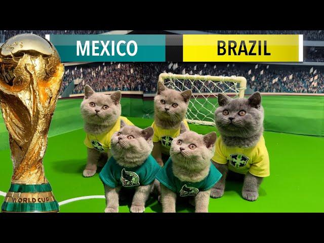 LETS UNLEASH CATS KITTENS  WORLD CUP GAME 2!