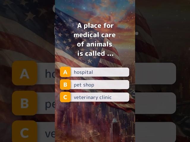 What do you call a place for medical care of animals in English? | Animals Vocabulary