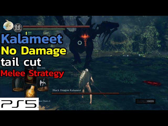 Kalameet : No Damage & tail cut // melee strategy