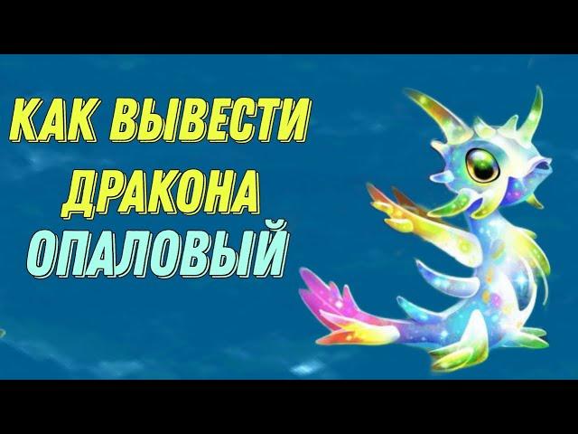 Как вывести Дракона Месяца Опаловый | Легенды Дракономании