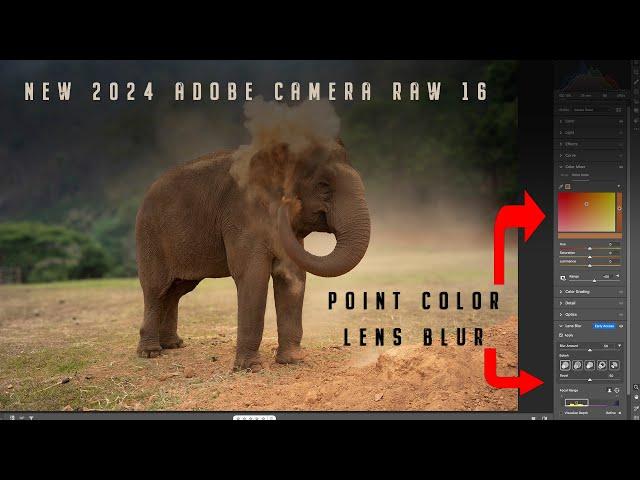 NEW UPDATES 2024 ADOBE CAMERA RAW VER. 16