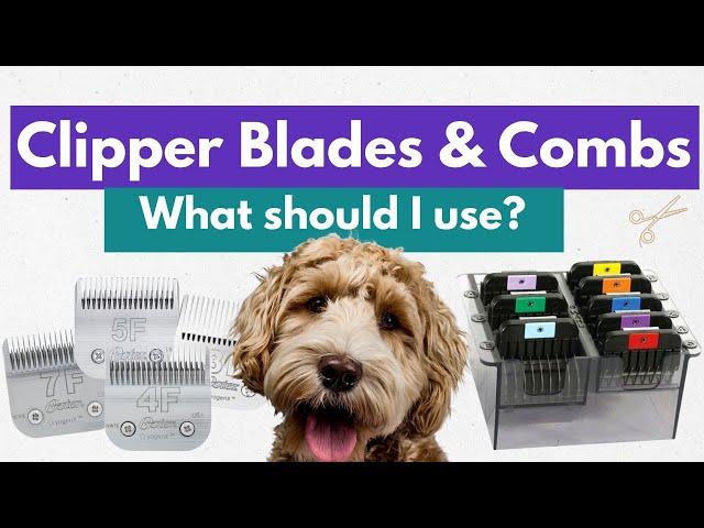 Dog Grooming Clipper Blades And Combs - What's The Difference? What Should I Use?