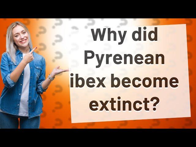 Why did Pyrenean ibex become extinct?