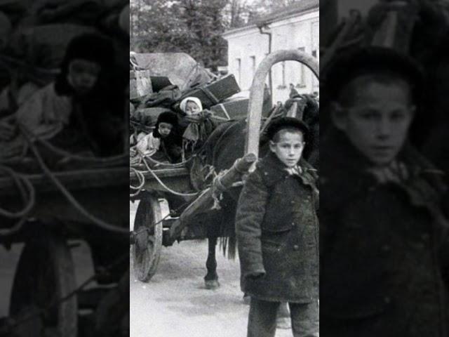 Петрозаводск 1941 г. ч1. #петрозаводск #история #карелия #history #adagioforstrings #shorts #video