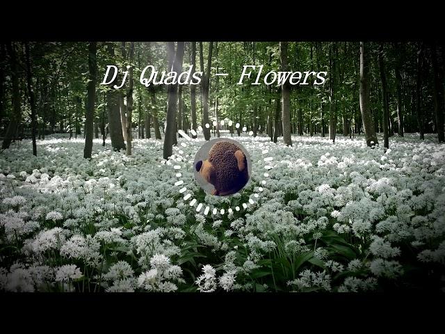 DJ Quads - Flowers [not copyright]