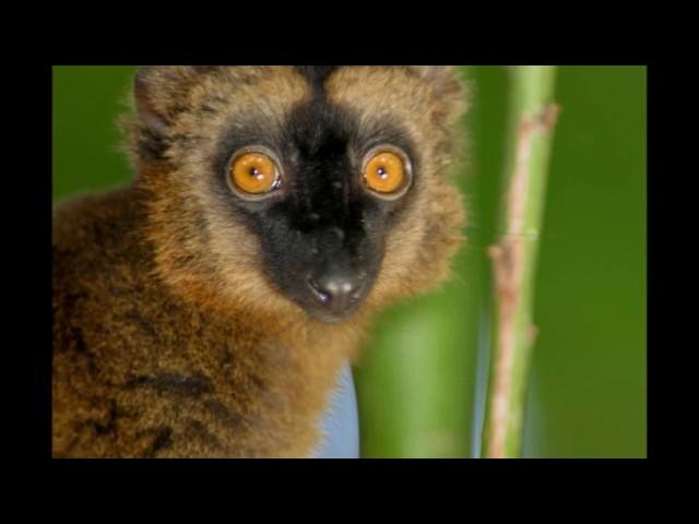 Mayotte-Comores-océan-indien