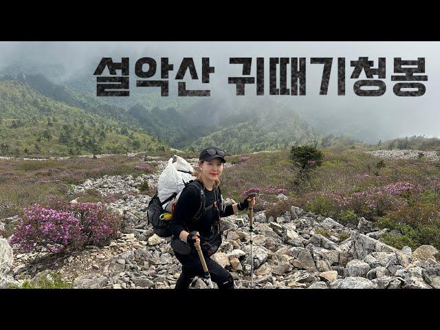 [Hiking] 강원 인제 설악산 등산 | 나홀로 봄비 맞으며 서북능선 타고 귀때기청봉에서 신선놀음 하고 왔어요 | 남교리~한계령 코스 | 설악산 국립공원 | 산림청 100대명산