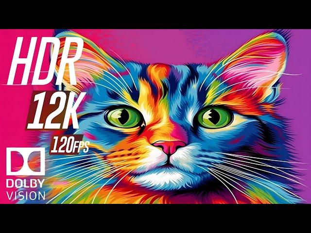 Dolby Vision 12K HDR 120 FPS A New Era of Visual Brilliance (8K ULTRA HD VIDEO)