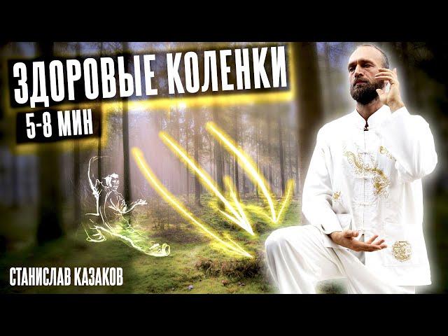 Комплекс Цигун ЗДОРОВЫЕ КОЛЕНИ (5-8 мин) // Станислав Казаков  Цигун для начинающих