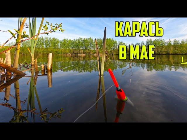 РЫБАЛКА НА КАРАСЯ В МАЕ. На что лучше ловить карася в мае. и супербонус.