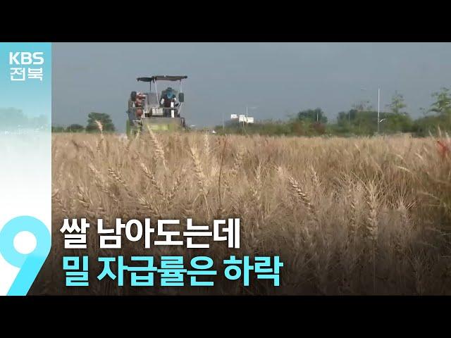 쌀 남아도는데 밀 자급률은 하락…“밀, 생산·소비 같이 늘려야” / KBS  2024.10.04.