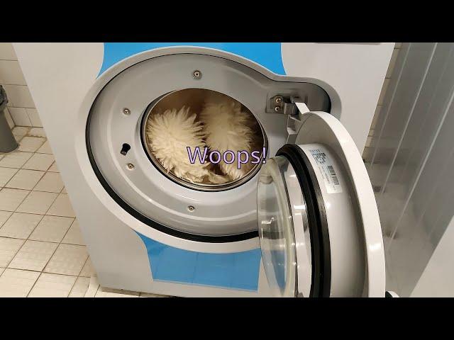 What will happen?? Washing a sheepskin rug in a washing machine!!