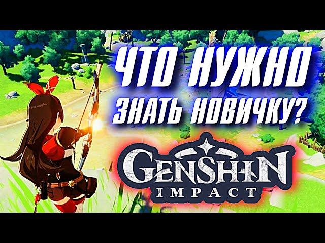 Genshin Impact Что нужно знать НОВИЧКУ?
