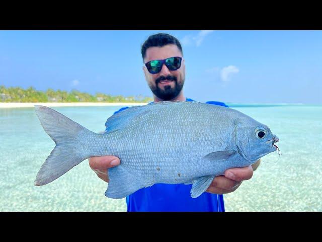 We Secretly Caught Fish from the Balcony of the Hotel Room!!