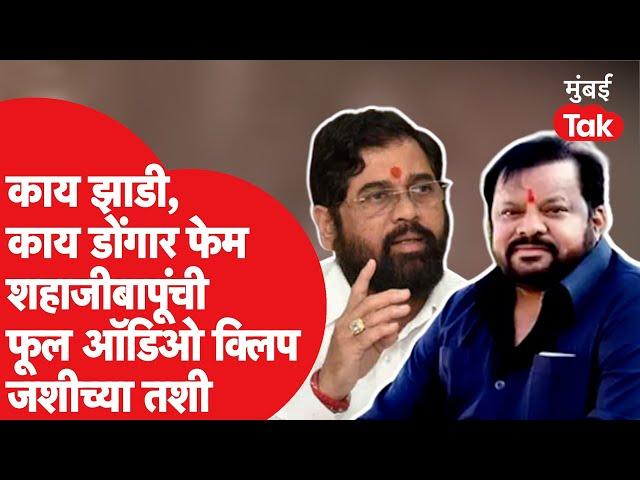 Shahaji Bapu Patil यांची संपूर्ण ऑडिओ क्लिप, Ajit Pawar, Sharad Pawar यांच्यावर मोठे आरोप