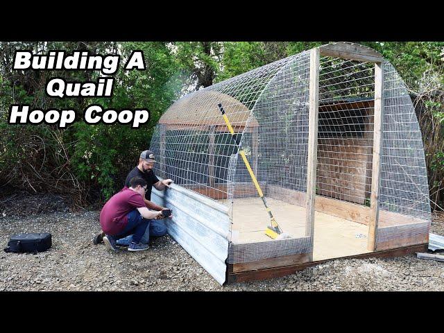 HOOP COOP for 100 Quail. Building a quail paradise for our new Coturnix Quail.