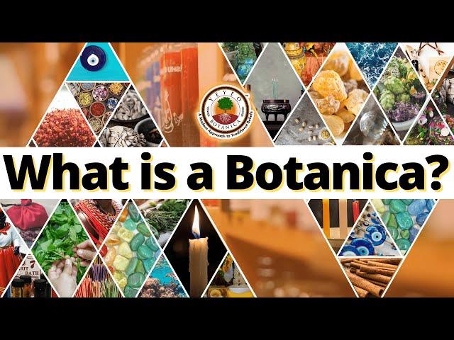 What is a Botanica? It's a place for MANIFESTATION! Watch and Learn more | Yeyeo Botanica