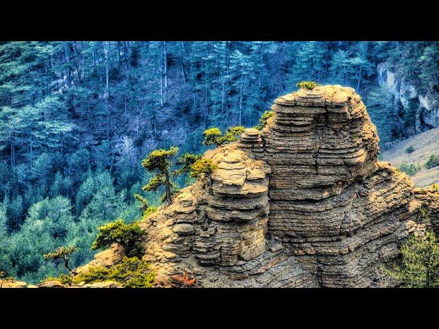 Пешком на АЙ-ПЕТРИ. Таракташская Тропа. ЧУДО КРЫМА КОТОРОЕ НУЖНО УВИДЕТЬ СВОИМИ ГЛАЗАМИ.