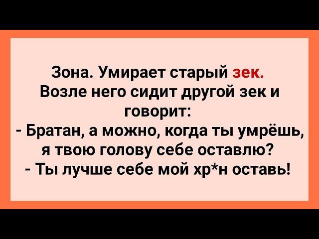 Зона! Умирает Старый Зек! Подборка Веселых Жизненных Анекдотов! Юмор!