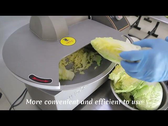 Compact Food Chopper， Effortlessly Mince All Vegetables