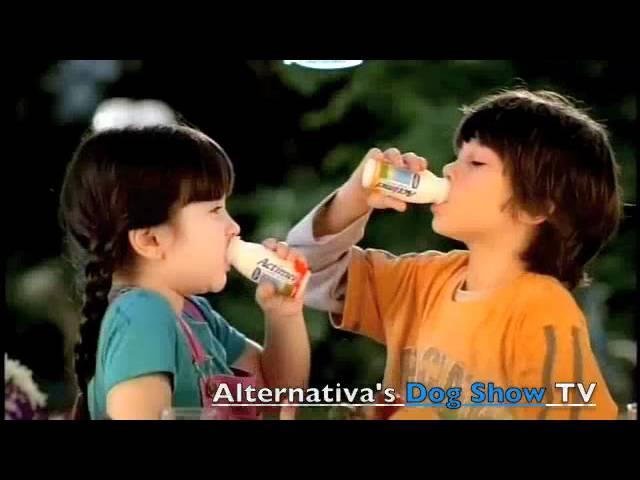 Campanha Actimel - Estrelas Animais