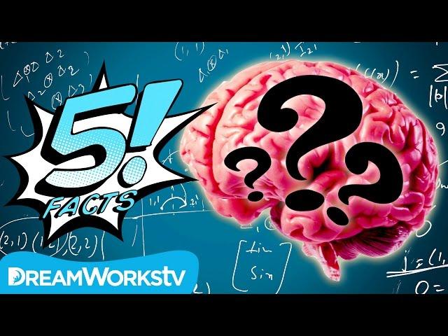 5 Myths About The HUMAN BRAIN Busted! | 5 FACTS