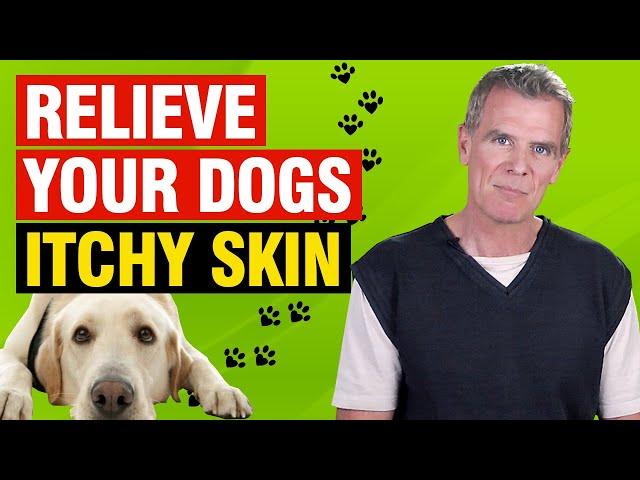 Apple Cider Vinegar For Dogs Itching Skin (5 Ways to Bring FAST Relief)