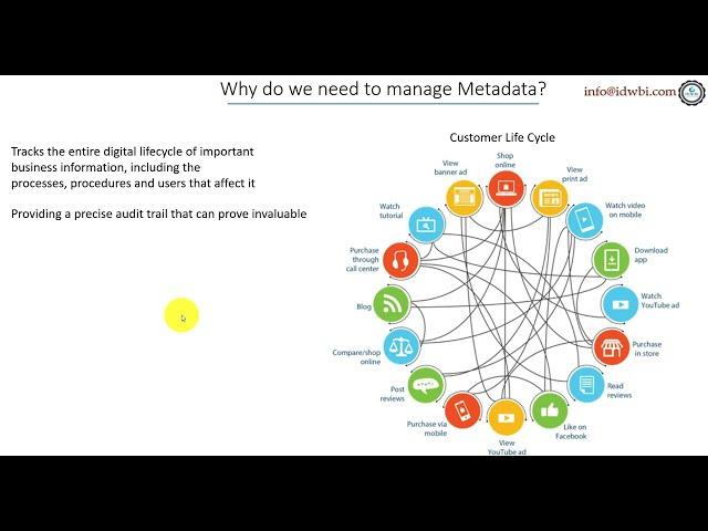 How does Metadata help with the Business Processes and Procedures?
