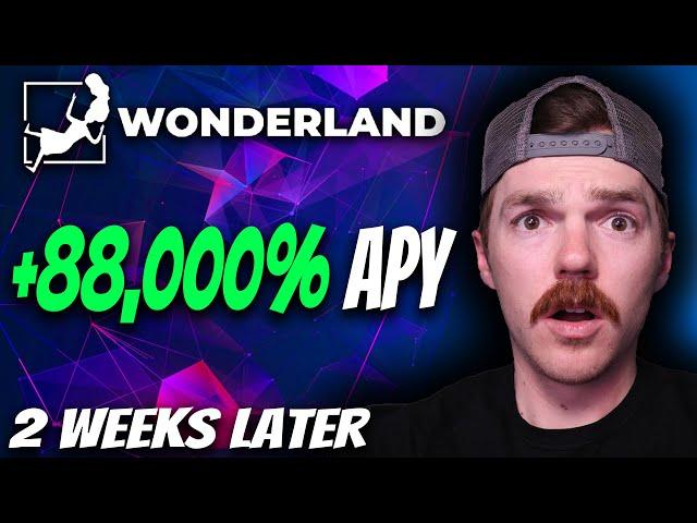 I Tried Staking WONDERLAND TIME for 2 Weeks | How Much I Made + Frequently Asked Questions