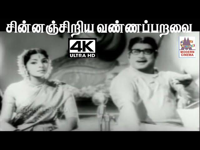 Chinnanjiriya Vanna K.V.மஹாதேவன் இசையில் T.M.சௌந்தர்ராஜன் S.ஜானகி பாடியபாடல் சின்னஞ்சிறிய வண்ணப்பறவை