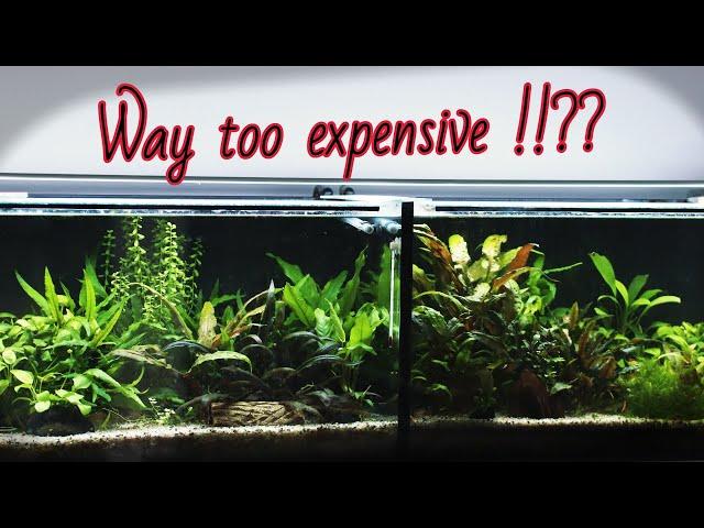 IS AQUARIUM HOBBY DYING?