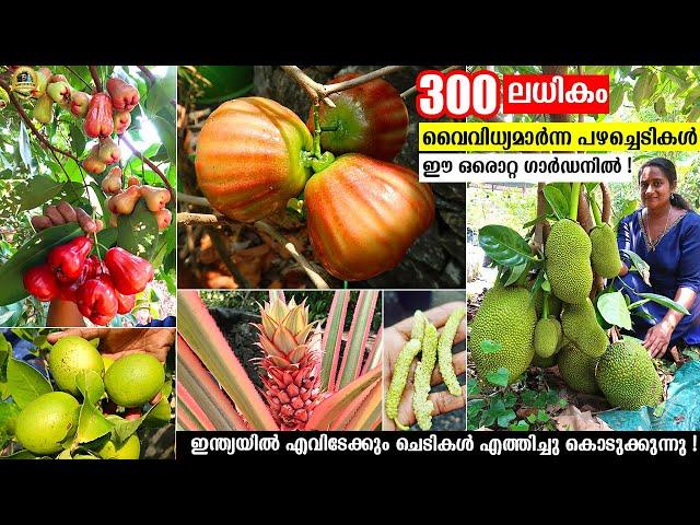  വീടിന് ചുറ്റും 300 ലധികം പഴച്ചെടികൾ ! എല്ലാ ചെടികളുടെയും തൈകളും ഇവിടെ ഉണ്ട് ! #EXOTICFRUITSPLANTS