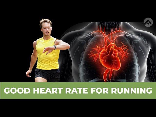 What Is Resting and Maximum Heart Rate? | Healthy Heart Rate | Good Heart Rate for Running